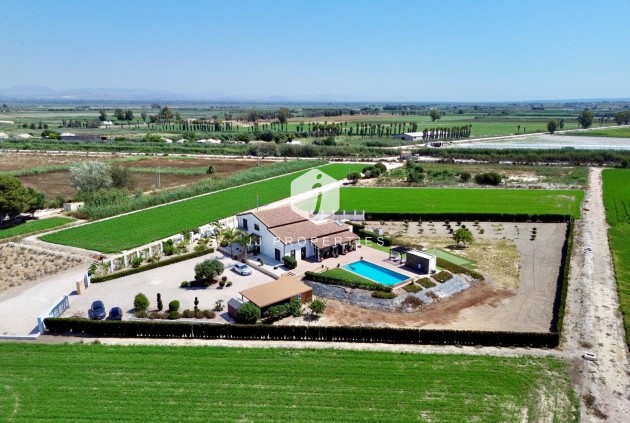 Resale - Villa -
Dolores - Comunidad Valenciana