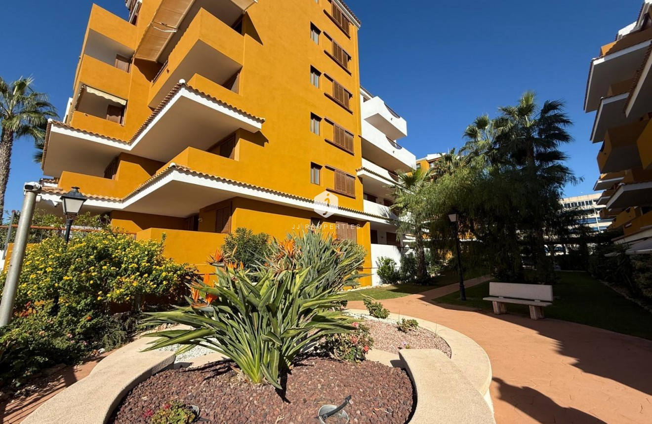 D'occasion - Appartement -
Torrevieja - Punta prima
