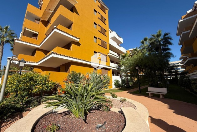D'occasion - Appartement -
Torrevieja - Punta prima