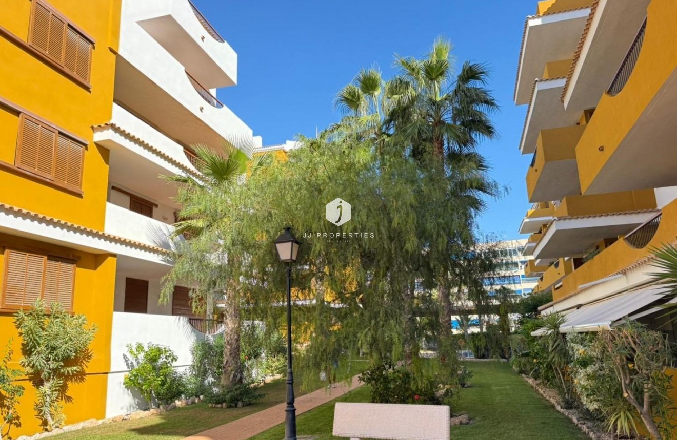 D'occasion - Appartement -
Torrevieja - Punta prima