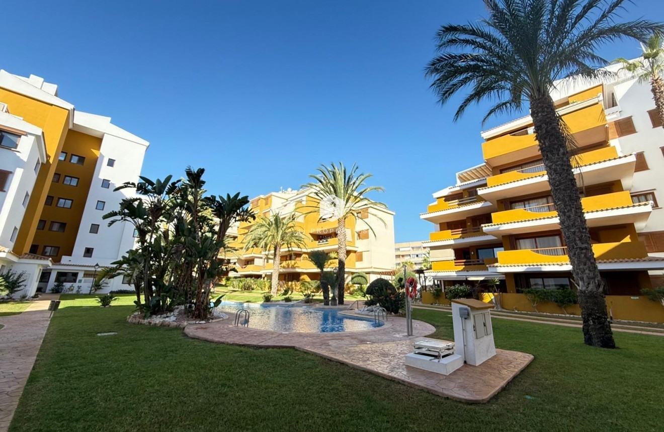 D'occasion - Appartement -
Torrevieja - Punta prima