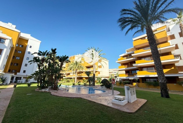 D'occasion - Appartement -
Torrevieja - Punta prima