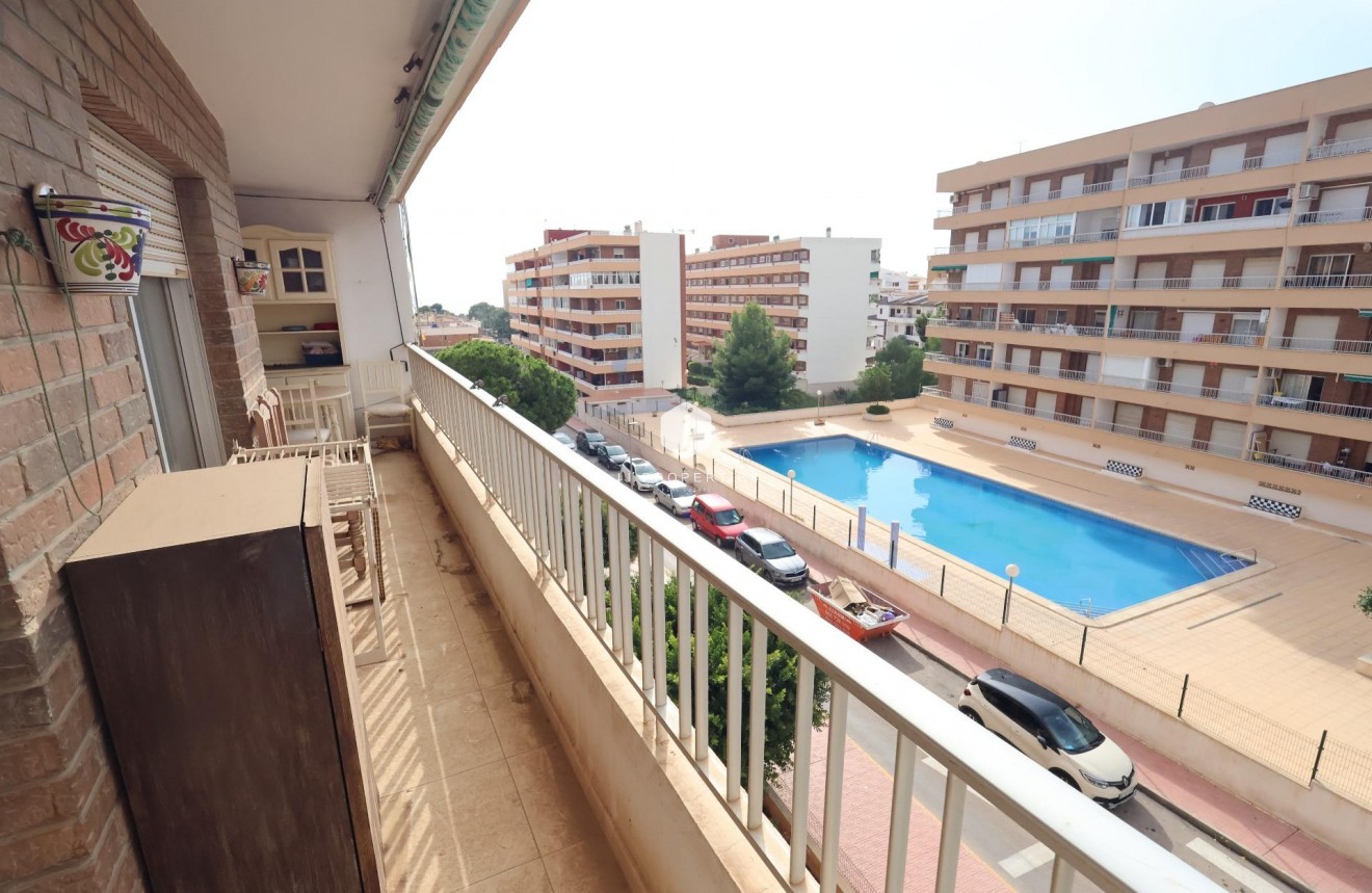D'occasion - Appartement -
Torrevieja - Costa Blanca