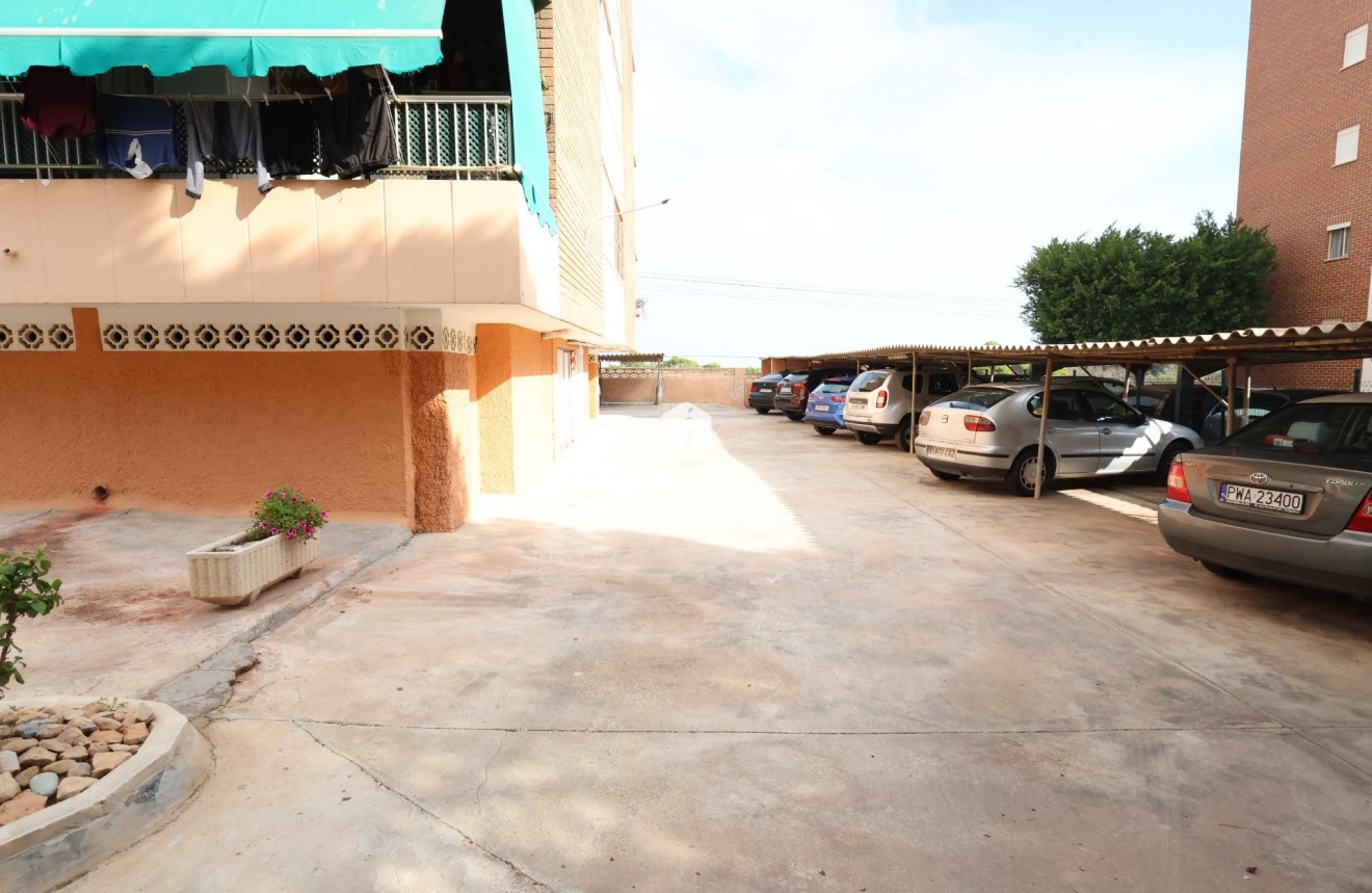 D'occasion - Appartement -
Torrevieja - Costa Blanca