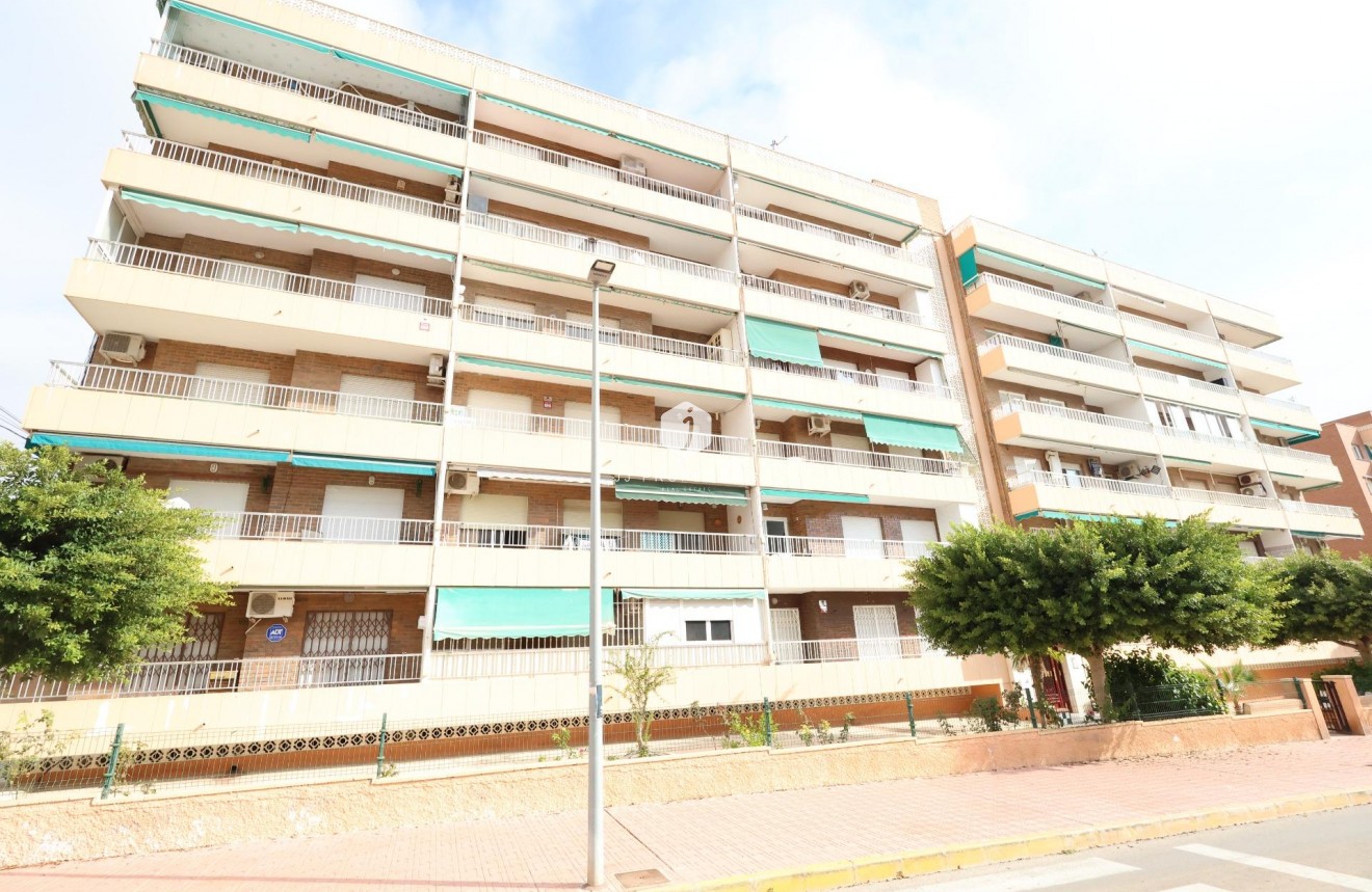D'occasion - Appartement -
Torrevieja - Costa Blanca