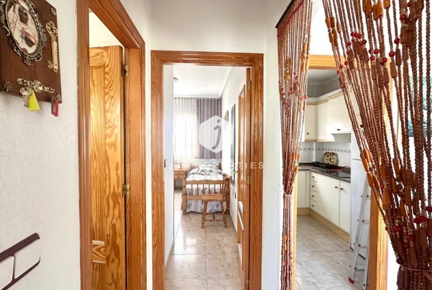 D'occasion - Appartement -
Torrevieja - Torreblanca