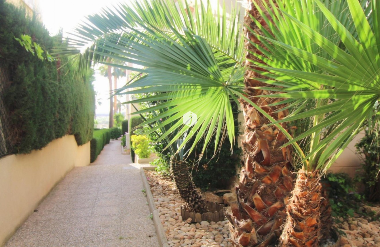 D'occasion - Appartement -
Torrevieja - Costa Blanca