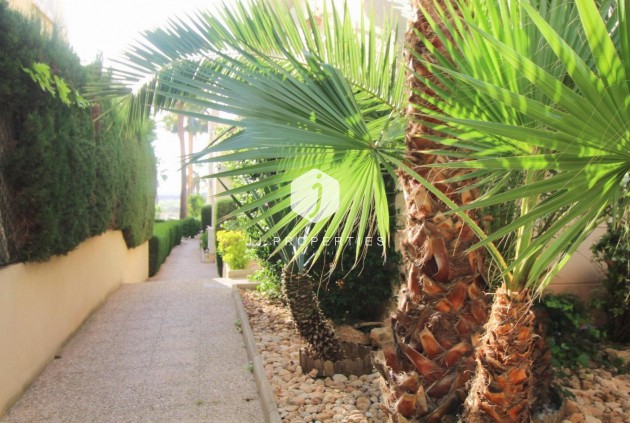 D'occasion - Appartement -
Torrevieja - Costa Blanca