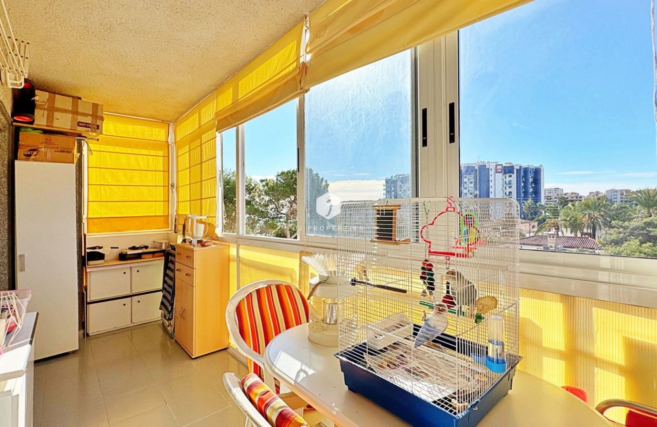 Segunda mano - Apartamento / piso -
Torrevieja - Costa Blanca