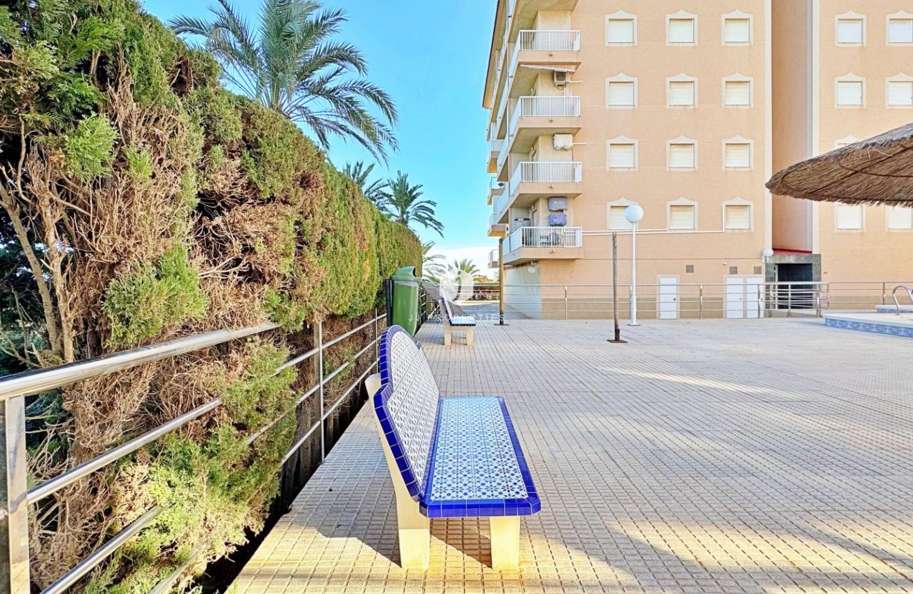 Segunda mano - Apartamento / piso -
Torrevieja - Costa Blanca