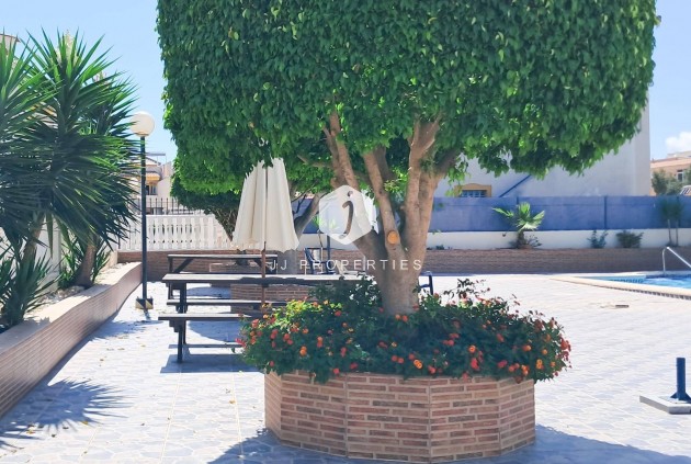 Z drugiej ręki - Mieszkanie w bloku -
Torrevieja - Parque Acuático - Sector 25