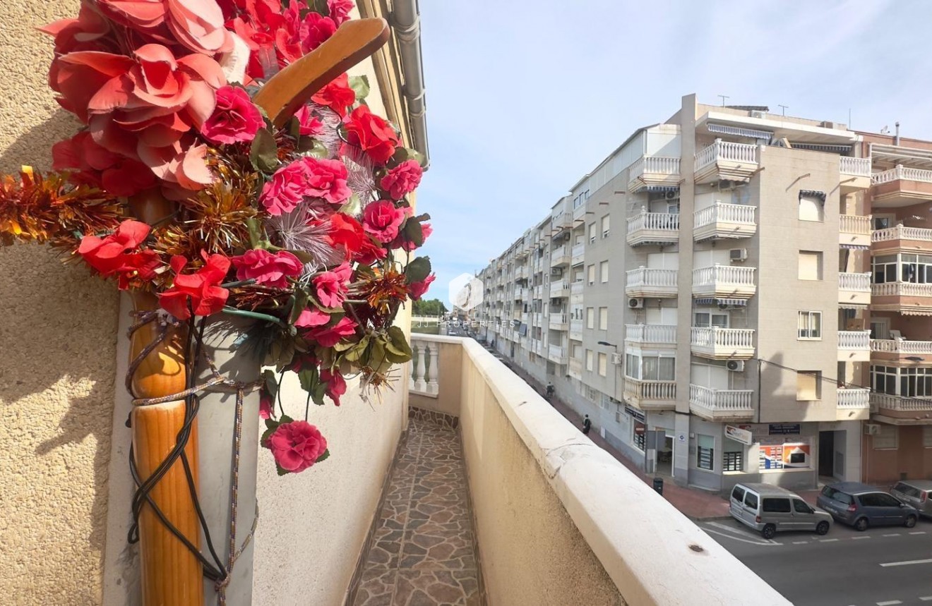 Z drugiej ręki - Daszek -
Torrevieja - Estacion de autobuses