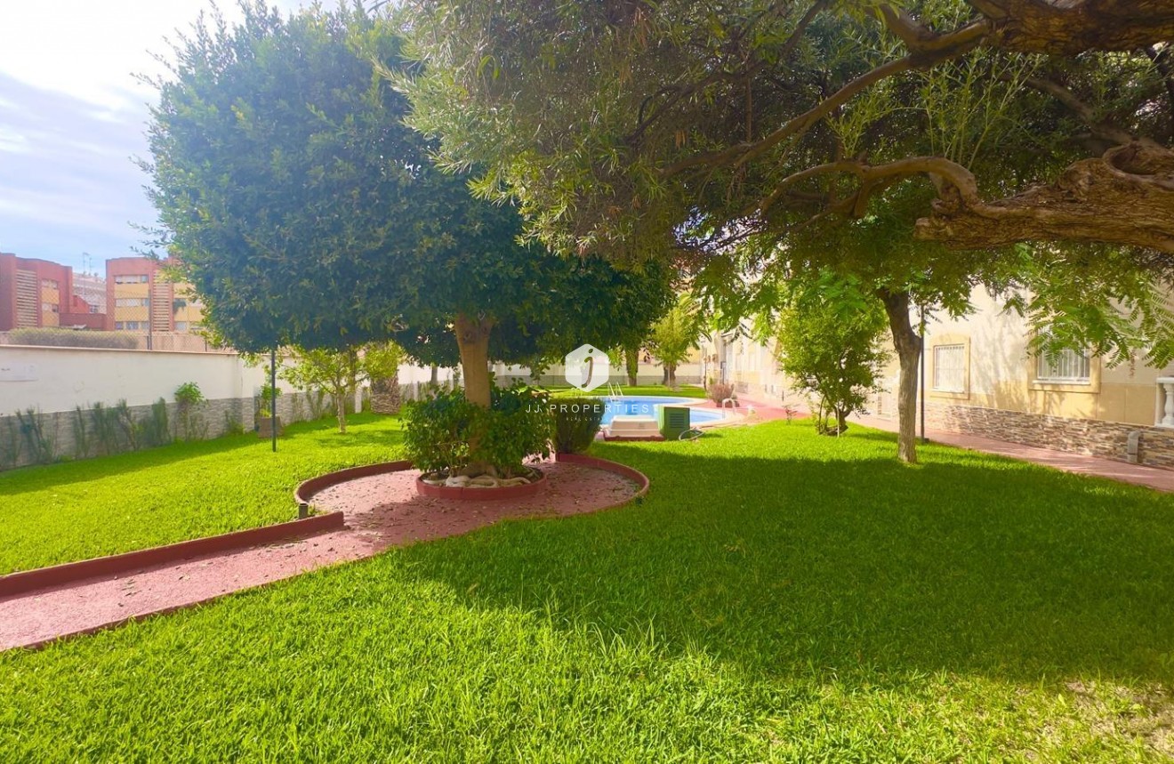 Z drugiej ręki - Daszek -
Torrevieja - Estacion de autobuses