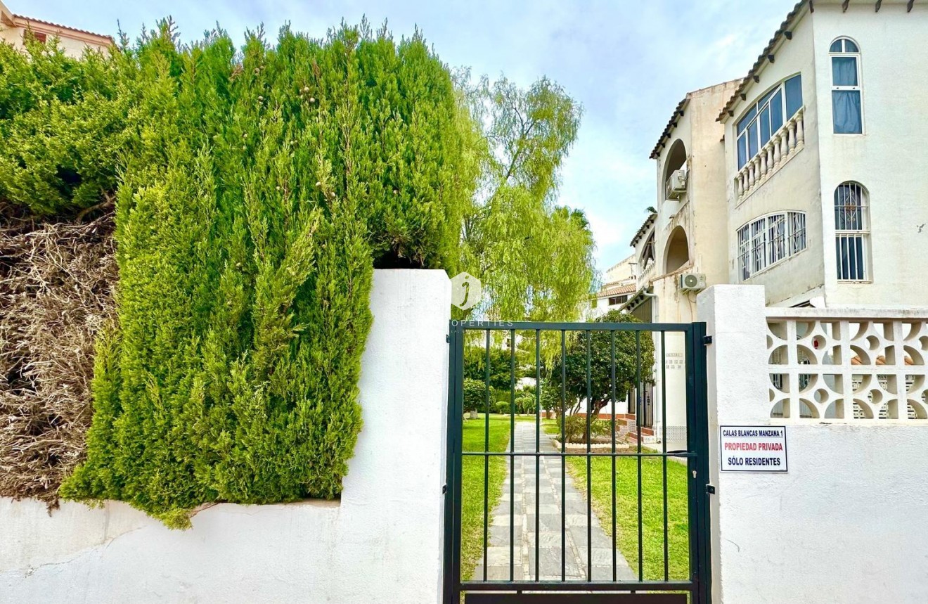 Z drugiej ręki - Mieszkanie w bloku -
Torrevieja - Estacion de autobuses