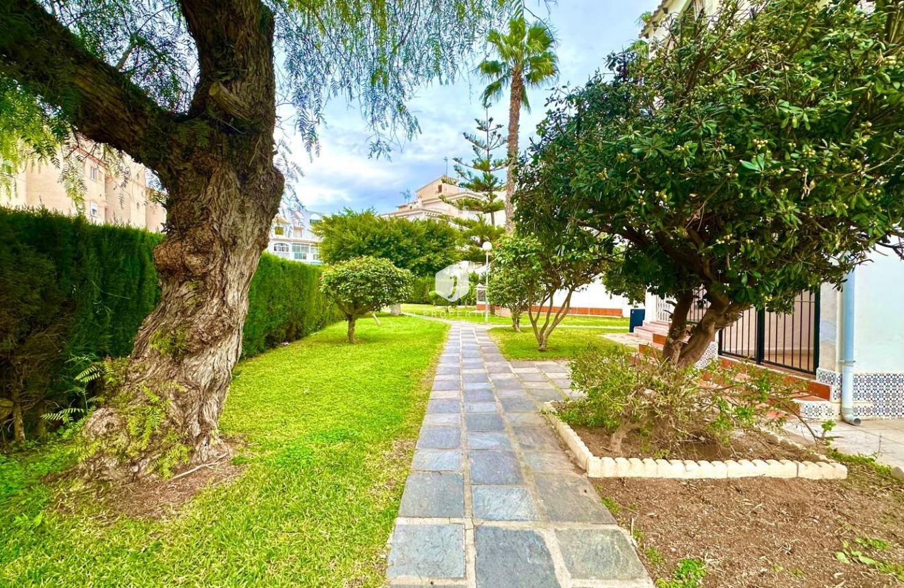 Z drugiej ręki - Mieszkanie w bloku -
Torrevieja - Estacion de autobuses