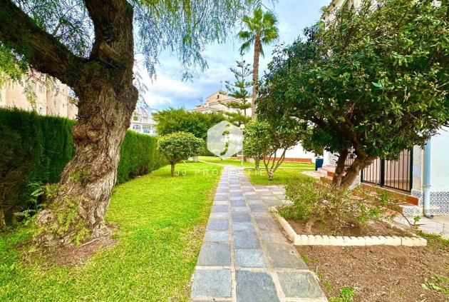 Z drugiej ręki - Mieszkanie w bloku -
Torrevieja - Estacion de autobuses