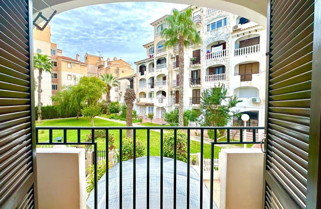 Z drugiej ręki - Mieszkanie w bloku -
Torrevieja - Estacion de autobuses