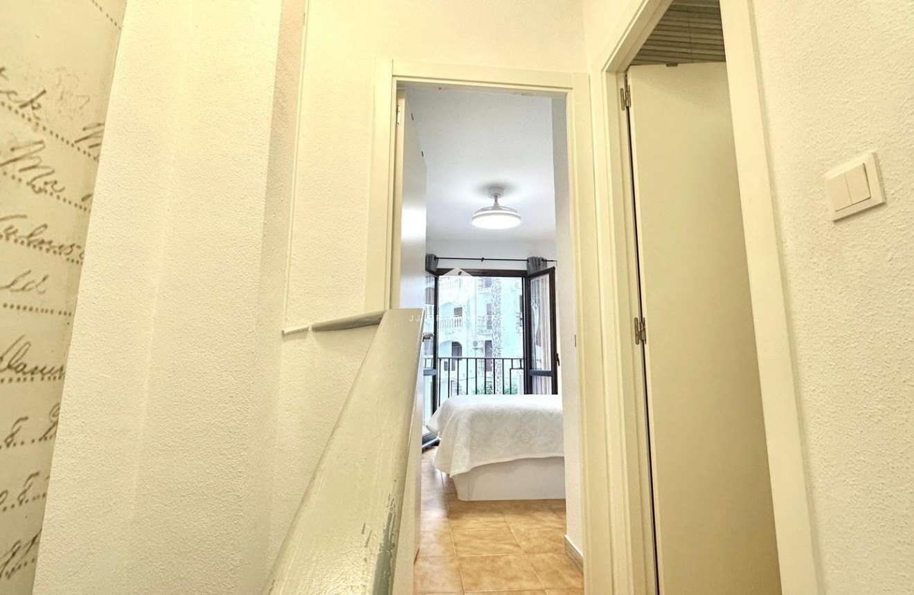 Z drugiej ręki - Mieszkanie w bloku -
Torrevieja - Estacion de autobuses