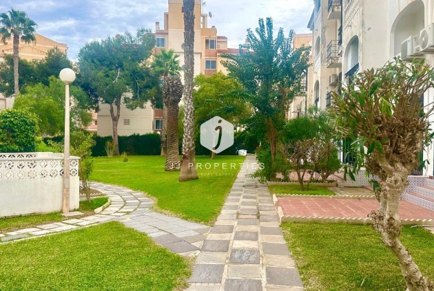 Z drugiej ręki - Mieszkanie w bloku -
Torrevieja - Estacion de autobuses