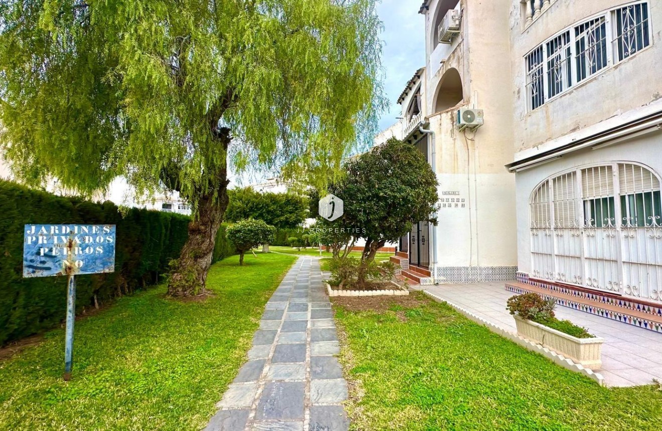 Z drugiej ręki - Mieszkanie w bloku -
Torrevieja - Estacion de autobuses