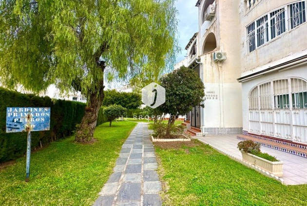 Z drugiej ręki - Mieszkanie w bloku -
Torrevieja - Estacion de autobuses