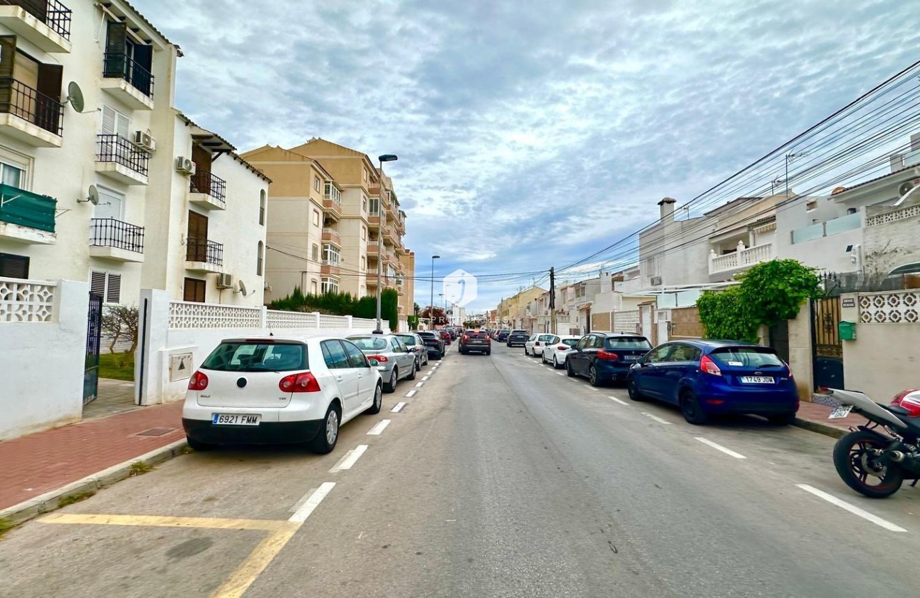 Z drugiej ręki - Mieszkanie w bloku -
Torrevieja - Estacion de autobuses