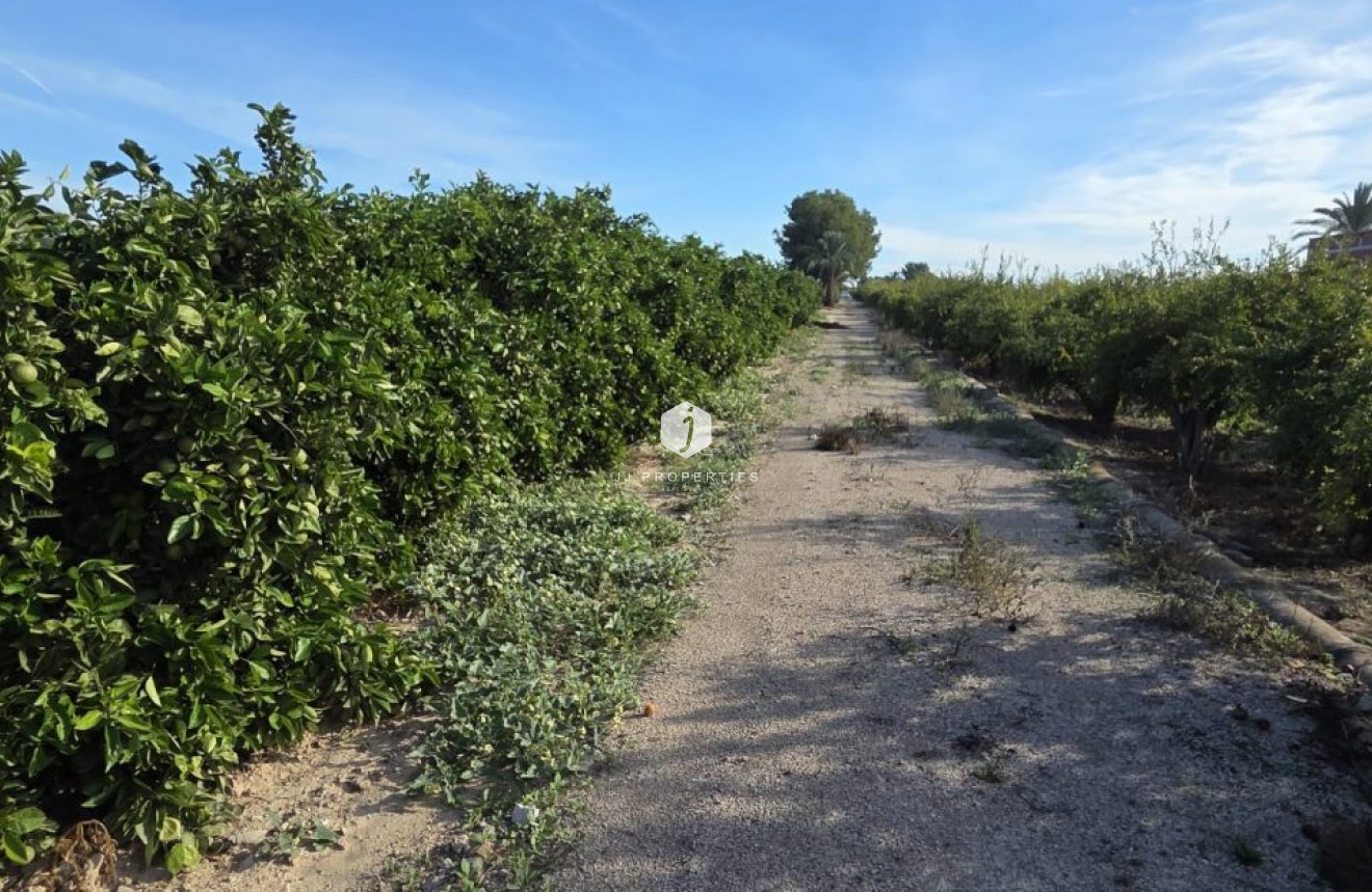 Aus zweiter Hand - Landgut -
Albatera - Inland