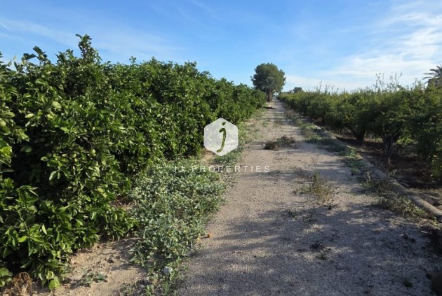 Aus zweiter Hand - Landgut -
Albatera - Inland