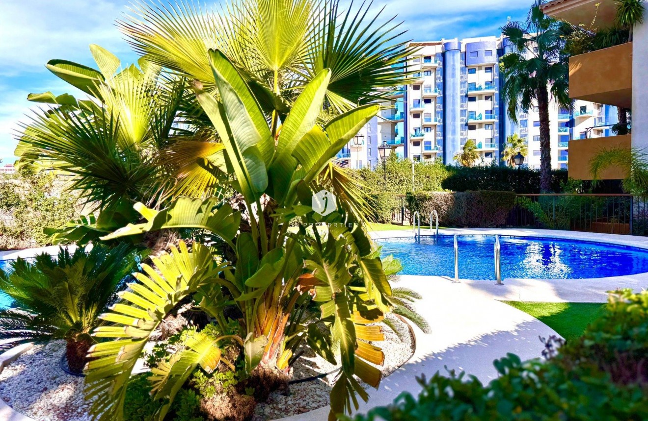 Aus zweiter Hand - Wohnung -
Torrevieja - Punta prima