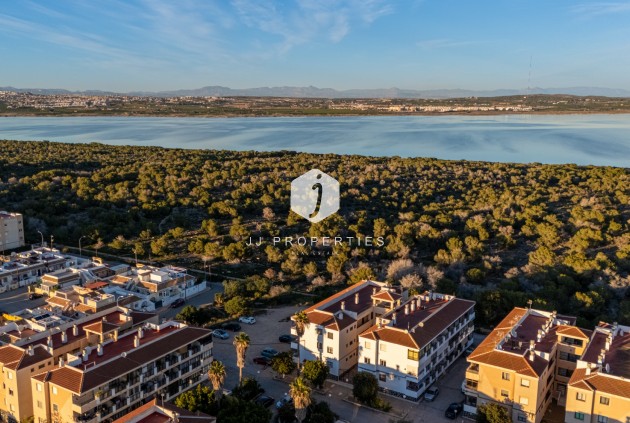 Aus zweiter Hand - Wohnung -
Torrevieja - Costa Blanca