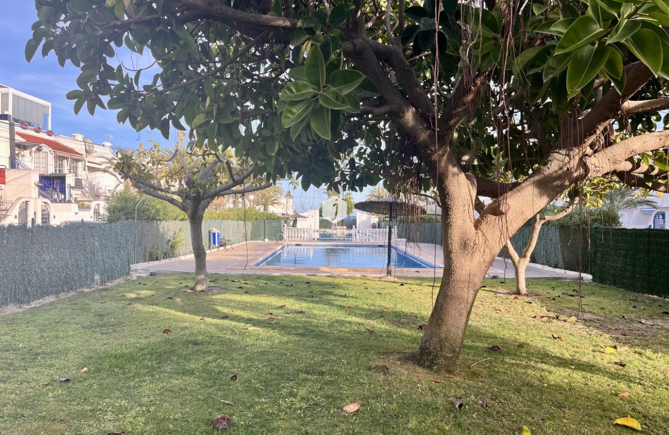 Aus zweiter Hand - Wohnung -
Torrevieja - Costa Blanca