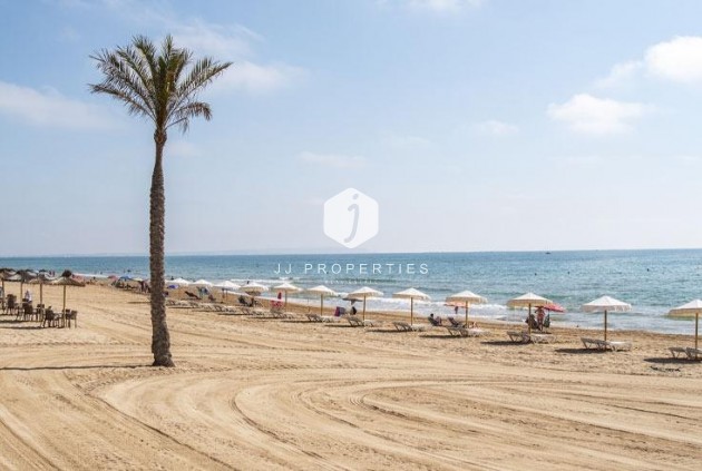 New Build - Penthouse -
Guardamar del Segura - Pueblo