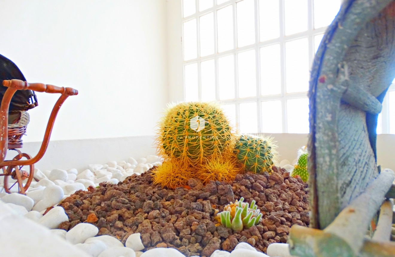 Aus zweiter Hand - Villa -
Cabo Roig - Costa Blanca