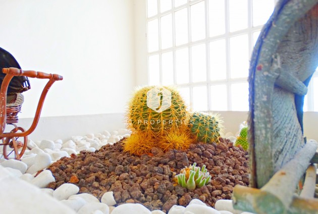 Aus zweiter Hand - Villa -
Cabo Roig - Costa Blanca