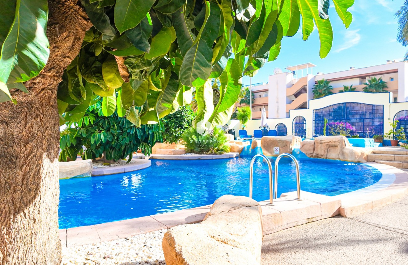 Aus zweiter Hand - Wohnung -
Orihuela Costa - Costa Blanca