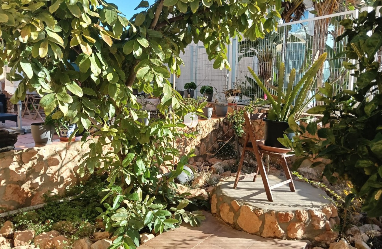 Tweedehands - Appartement / flat -
Los Montesinos - Costa Blanca