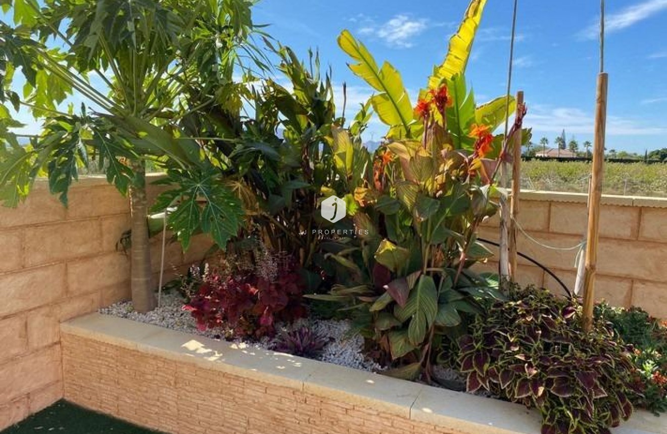 Resale - Villa -
Albatera - Campo De Albatera