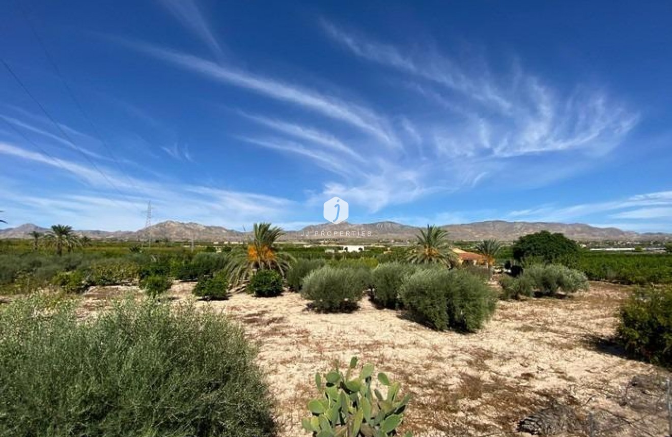 Resale - Villa -
Albatera - Campo De Albatera