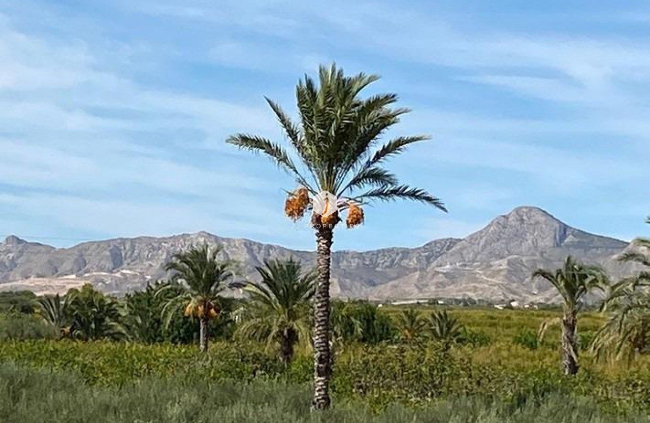 Resale - Villa -
Albatera - Campo De Albatera