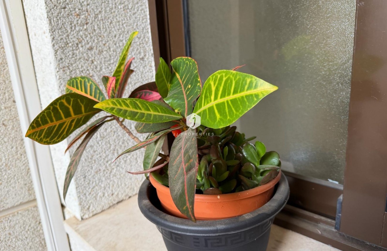 Resale - Apartment / flat -
Orihuela Costa - Las Ramblas