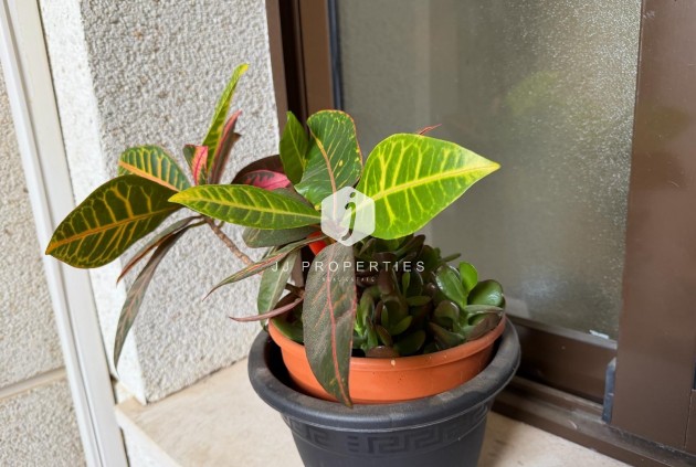 Resale - Apartment / flat -
Orihuela Costa - Las Ramblas