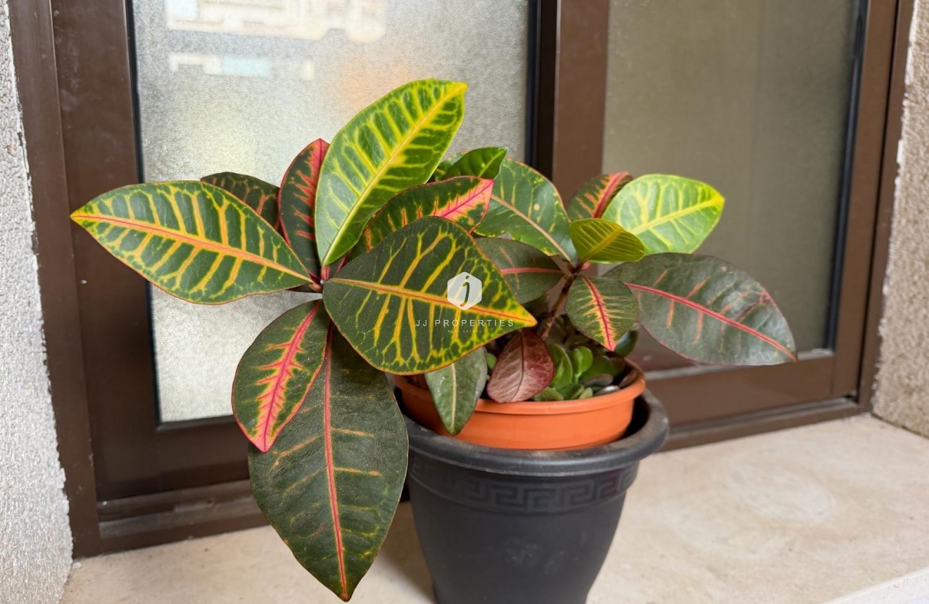 Resale - Apartment / flat -
Orihuela Costa - Las Ramblas