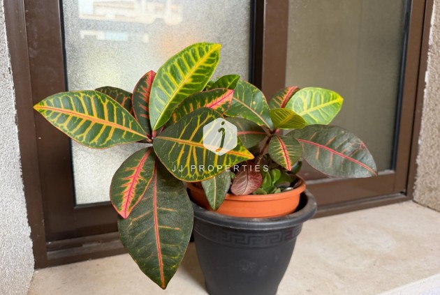 Resale - Apartment / flat -
Orihuela Costa - Las Ramblas