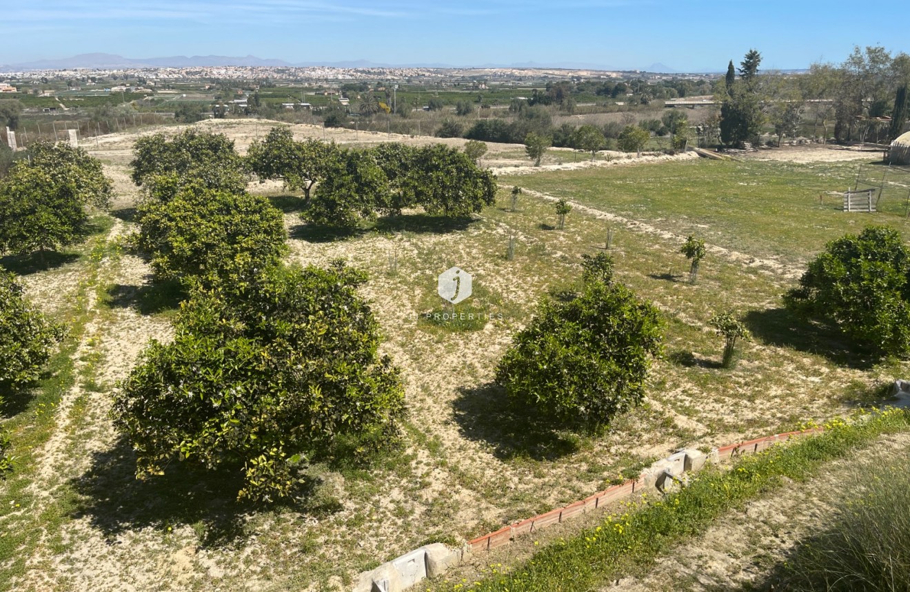 Resale - Villa -
Guardamar del Segura - Costa Blanca