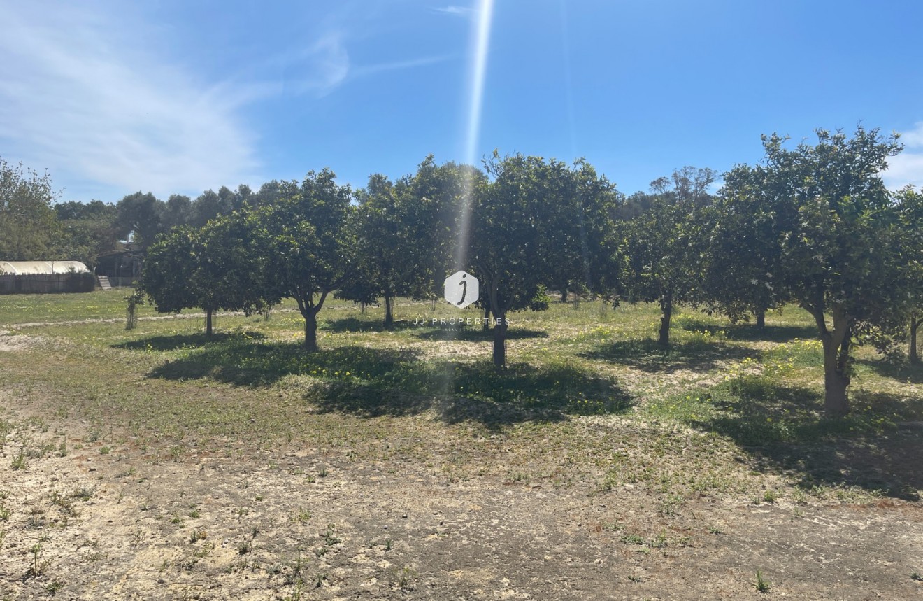 Resale - Villa -
Guardamar del Segura - Costa Blanca