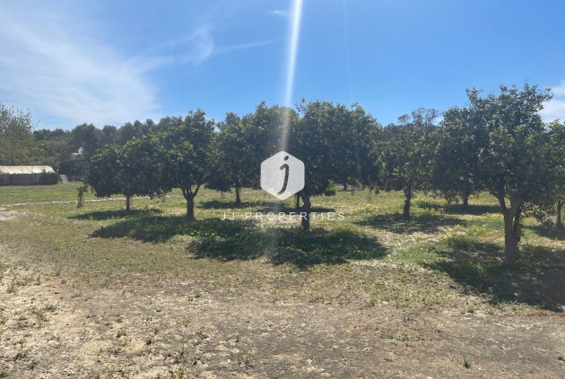 Resale - Villa -
Guardamar del Segura - Costa Blanca