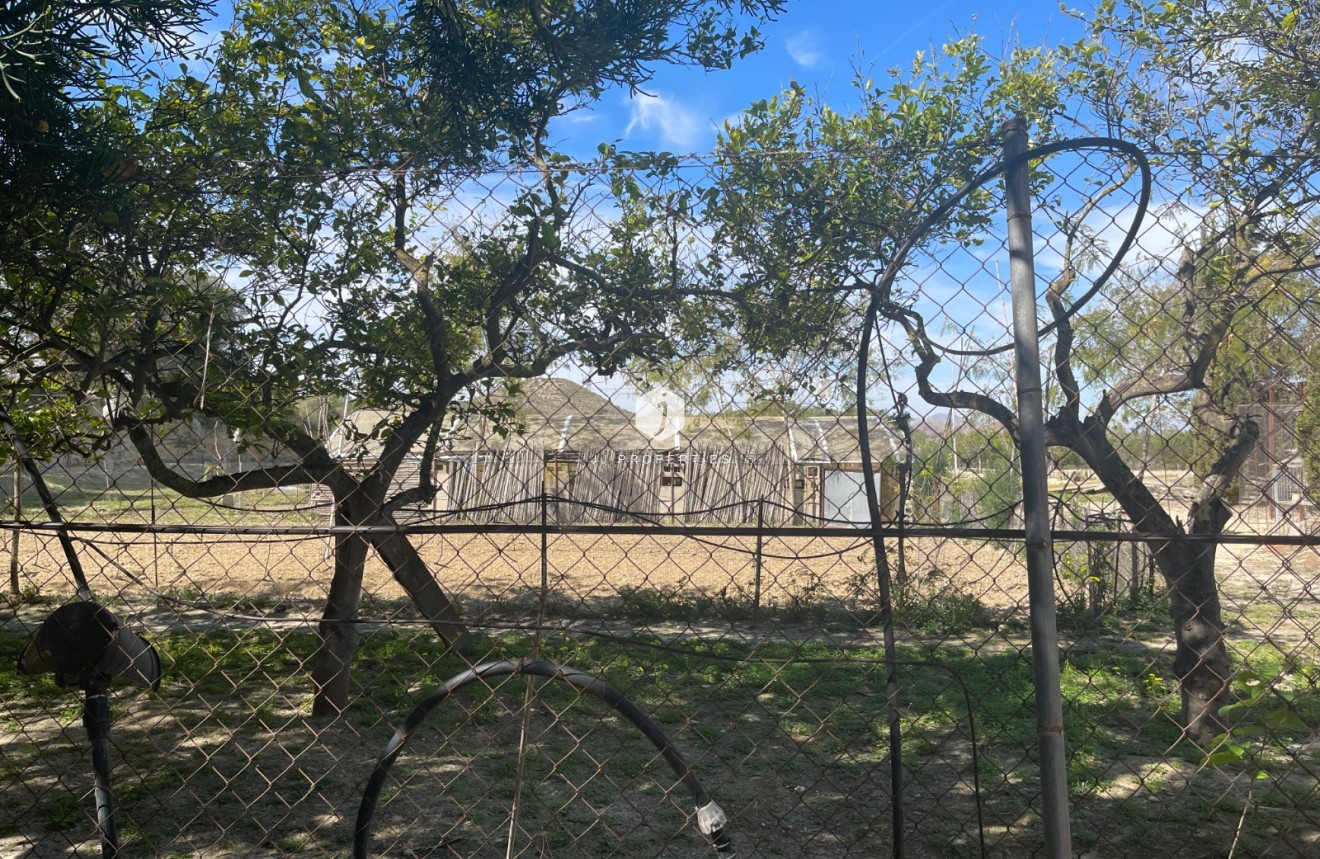 Resale - Villa -
Guardamar del Segura - Costa Blanca