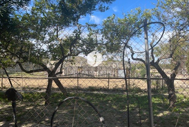 Resale - Villa -
Guardamar del Segura - Costa Blanca