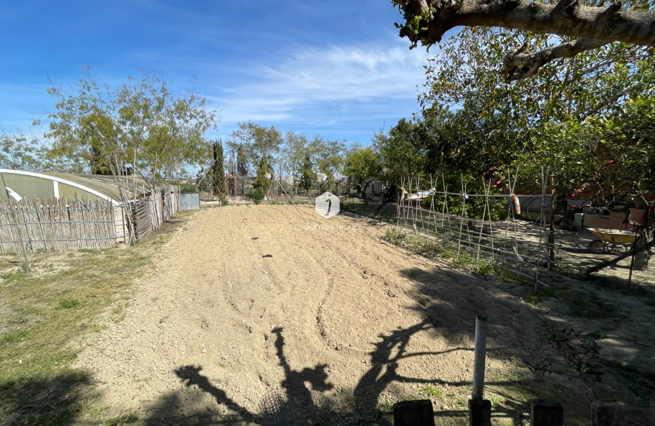 Resale - Villa -
Guardamar del Segura - Costa Blanca