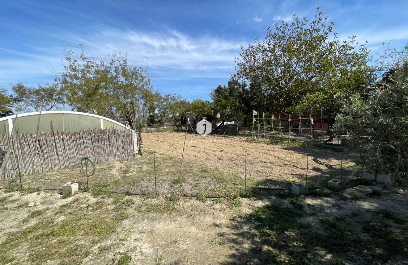 Resale - Villa -
Guardamar del Segura - Costa Blanca